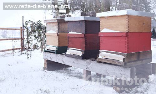 Bienenstock